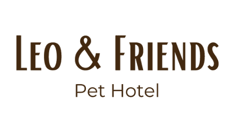 Leo & Friends